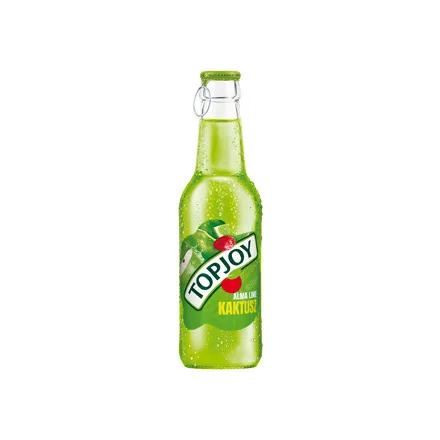 Topjoy 0.25L üveges – Kaktusz
