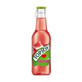 Topjoy 0.25L üveges – Görögdinnye